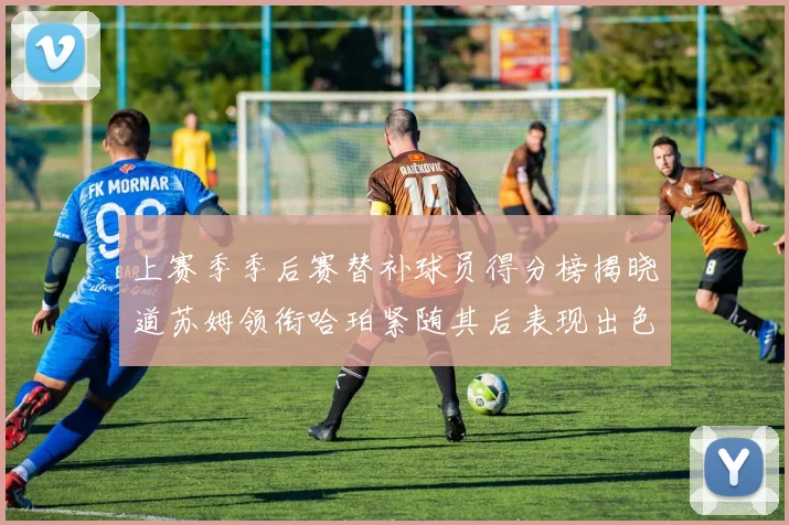 上赛季季后赛替补球员得分榜揭晓道苏姆领衔哈珀紧随其后表现出色
